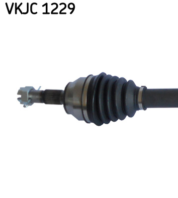 VKJC 1229_2