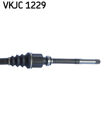 VKJC 1229_3