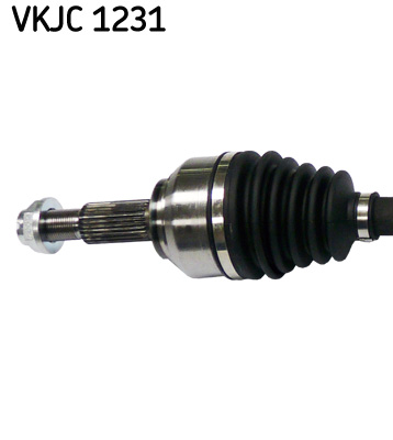 VKJC 1231_2