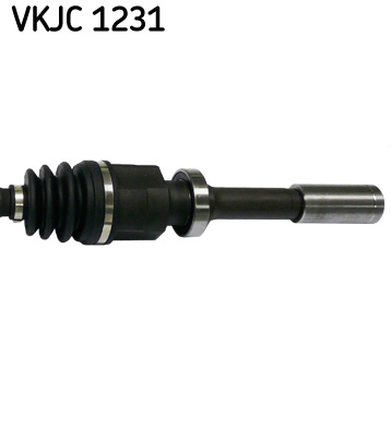 VKJC 1231_3