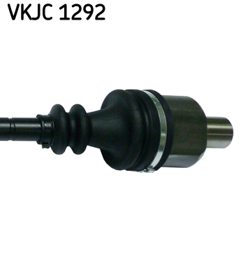 VKJC 1292_3