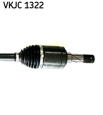 VKJC 1322_3