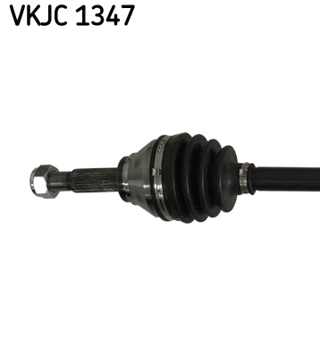 VKJC 1347_2