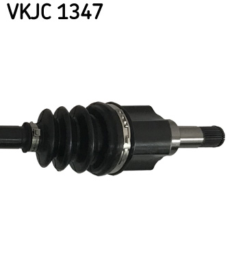 VKJC 1347_3