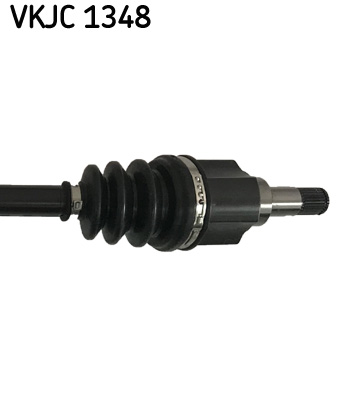 VKJC 1348_3