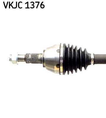 VKJC 1376_2