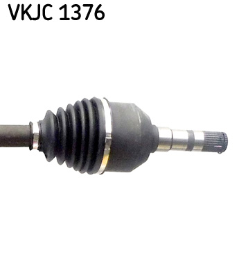 VKJC 1376_3