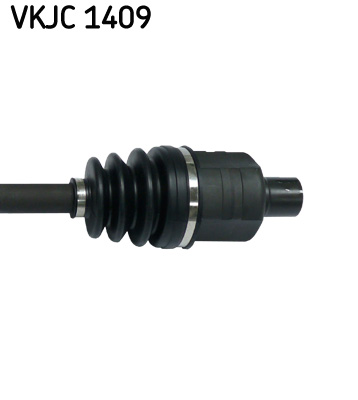 VKJC 1409_3