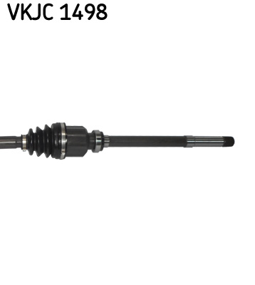 VKJC 1498_3