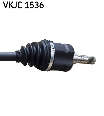 VKJC 1536_3