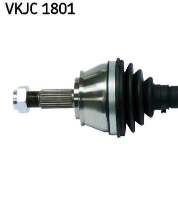 VKJC 1801_2