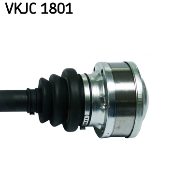 VKJC 1801_3