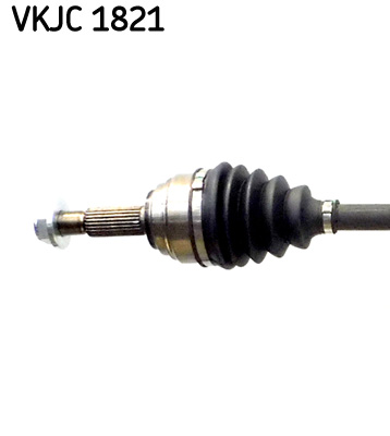 VKJC 1821_2