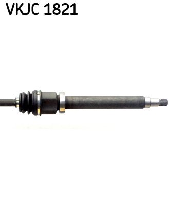 VKJC 1821_3