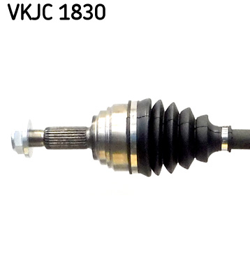 VKJC 1830_2