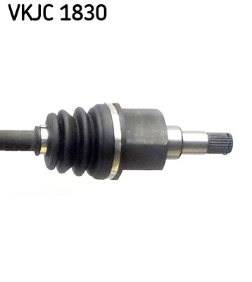 VKJC 1830_3