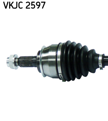 VKJC 2597_2