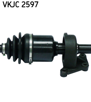 VKJC 2597_3