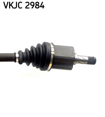 VKJC 2984_3