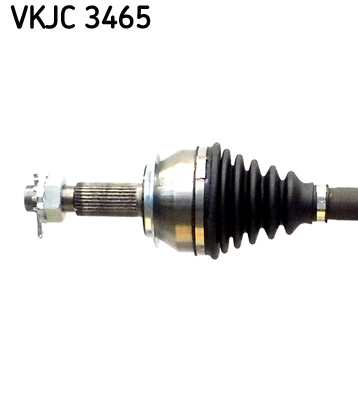 VKJC 3465_2