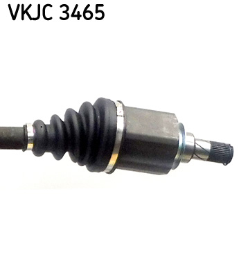 VKJC 3465_3