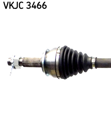 VKJC 3466_2
