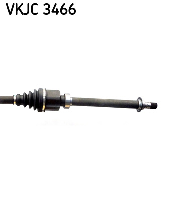 VKJC 3466_3