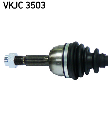 VKJC 3503_2