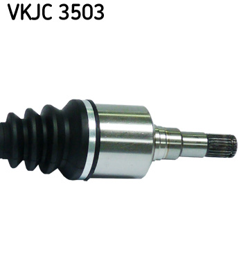 VKJC 3503_3