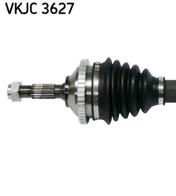 VKJC 3627_2