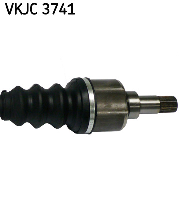 VKJC 3741_3