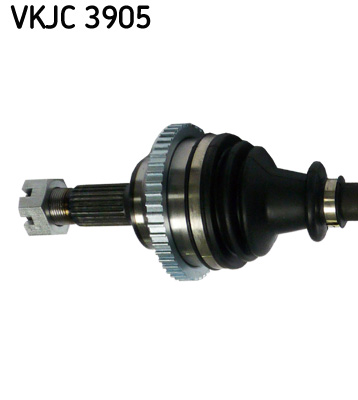 VKJC 3905_2