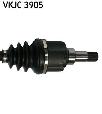 VKJC 3905_3