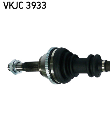 VKJC 3933_2