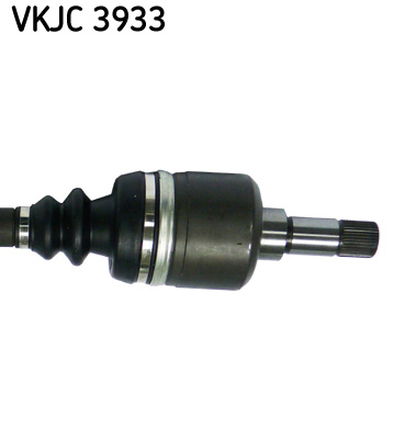 VKJC 3933_3