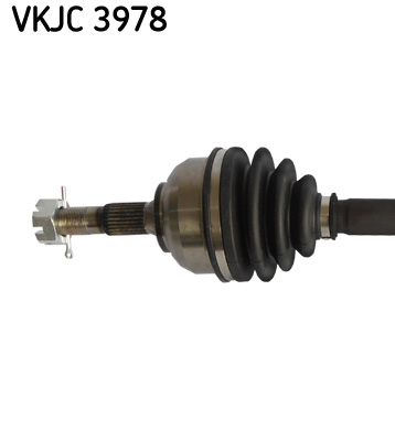 VKJC 3978_2