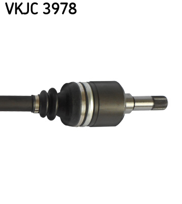 VKJC 3978_3