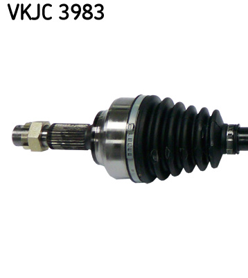 VKJC 3983_2
