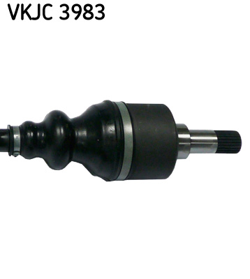 VKJC 3983_3