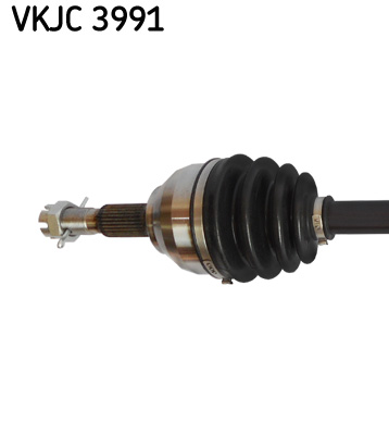 VKJC 3991_2