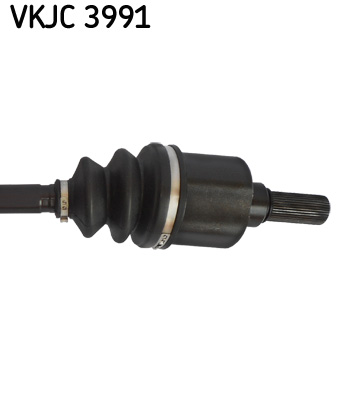 VKJC 3991_3