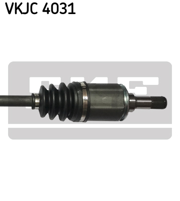 VKJC 4031_3