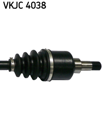 VKJC 4038_3
