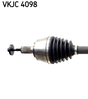 VKJC 4098_2