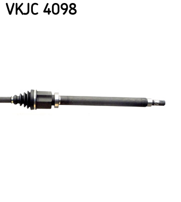 VKJC 4098_3