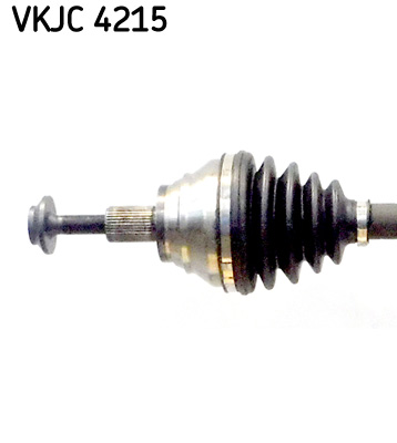 VKJC 4215_2