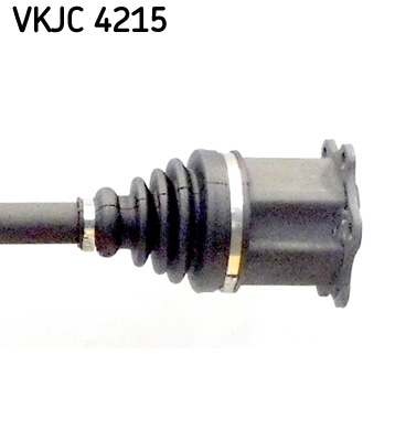 VKJC 4215_3