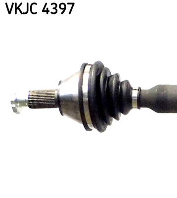 VKJC 4397_2