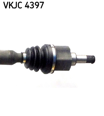 VKJC 4397_3