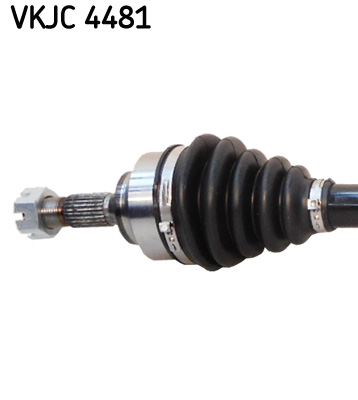 VKJC 4481_2